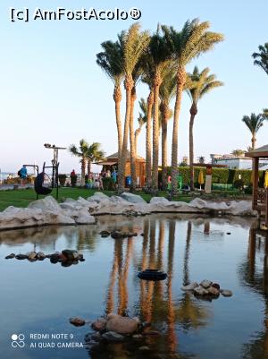 [P22] Prin resort: palmieri oglindindu-se în apa lacului.. » foto by Rodel
 - 
<span class="allrVoted glyphicon glyphicon-heart hidden" id="av1280731"></span>
<a class="m-l-10 hidden" id="sv1280731" onclick="voting_Foto_DelVot(,1280731,22687)" role="button">șterge vot <span class="glyphicon glyphicon-remove"></span></a>
<a id="v91280731" class=" c-red"  onclick="voting_Foto_SetVot(1280731)" role="button"><span class="glyphicon glyphicon-heart-empty"></span> <b>LIKE</b> = Votează poza</a> <img class="hidden"  id="f1280731W9" src="/imagini/loader.gif" border="0" /><span class="AjErrMes hidden" id="e1280731ErM"></span>