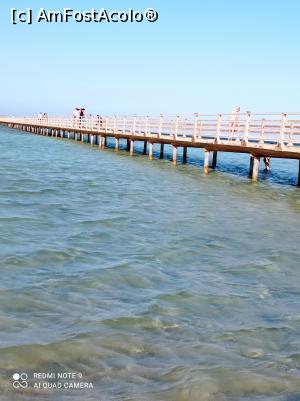 [P25] Pontonul lung de 300 metri. » foto by Rodel
 - 
<span class="allrVoted glyphicon glyphicon-heart hidden" id="av1280734"></span>
<a class="m-l-10 hidden" id="sv1280734" onclick="voting_Foto_DelVot(,1280734,22687)" role="button">șterge vot <span class="glyphicon glyphicon-remove"></span></a>
<a id="v91280734" class=" c-red"  onclick="voting_Foto_SetVot(1280734)" role="button"><span class="glyphicon glyphicon-heart-empty"></span> <b>LIKE</b> = Votează poza</a> <img class="hidden"  id="f1280734W9" src="/imagini/loader.gif" border="0" /><span class="AjErrMes hidden" id="e1280734ErM"></span>