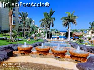 [P07] Vedere panoramică de pe terasă. » foto by Rodel
 - 
<span class="allrVoted glyphicon glyphicon-heart hidden" id="av1280716"></span>
<a class="m-l-10 hidden" id="sv1280716" onclick="voting_Foto_DelVot(,1280716,22687)" role="button">șterge vot <span class="glyphicon glyphicon-remove"></span></a>
<a id="v91280716" class=" c-red"  onclick="voting_Foto_SetVot(1280716)" role="button"><span class="glyphicon glyphicon-heart-empty"></span> <b>LIKE</b> = Votează poza</a> <img class="hidden"  id="f1280716W9" src="/imagini/loader.gif" border="0" /><span class="AjErrMes hidden" id="e1280716ErM"></span>