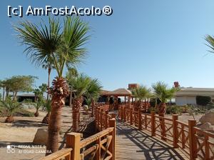 [P08] Prin resort: podețul ce duce spre faleză. » foto by Rodel
 - 
<span class="allrVoted glyphicon glyphicon-heart hidden" id="av1280717"></span>
<a class="m-l-10 hidden" id="sv1280717" onclick="voting_Foto_DelVot(,1280717,22687)" role="button">șterge vot <span class="glyphicon glyphicon-remove"></span></a>
<a id="v91280717" class=" c-red"  onclick="voting_Foto_SetVot(1280717)" role="button"><span class="glyphicon glyphicon-heart-empty"></span> <b>LIKE</b> = Votează poza</a> <img class="hidden"  id="f1280717W9" src="/imagini/loader.gif" border="0" /><span class="AjErrMes hidden" id="e1280717ErM"></span>