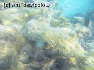 [P18] Ce cauți tu aici? parcă mă întreabă » foto by marsus
 - 
<span class="allrVoted glyphicon glyphicon-heart hidden" id="av1261531"></span>
<a class="m-l-10 hidden" id="sv1261531" onclick="voting_Foto_DelVot(,1261531,22687)" role="button">șterge vot <span class="glyphicon glyphicon-remove"></span></a>
<a id="v91261531" class=" c-red"  onclick="voting_Foto_SetVot(1261531)" role="button"><span class="glyphicon glyphicon-heart-empty"></span> <b>LIKE</b> = Votează poza</a> <img class="hidden"  id="f1261531W9" src="/imagini/loader.gif" border="0" /><span class="AjErrMes hidden" id="e1261531ErM"></span>