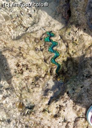 [P05] O stridie neînchisă, albastră » foto by marsus
 - 
<span class="allrVoted glyphicon glyphicon-heart hidden" id="av1261518"></span>
<a class="m-l-10 hidden" id="sv1261518" onclick="voting_Foto_DelVot(,1261518,22687)" role="button">șterge vot <span class="glyphicon glyphicon-remove"></span></a>
<a id="v91261518" class=" c-red"  onclick="voting_Foto_SetVot(1261518)" role="button"><span class="glyphicon glyphicon-heart-empty"></span> <b>LIKE</b> = Votează poza</a> <img class="hidden"  id="f1261518W9" src="/imagini/loader.gif" border="0" /><span class="AjErrMes hidden" id="e1261518ErM"></span>