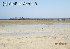 [P19] Marea Roșie dimineața la reflux și celebrul ponton ce duce la lagună » foto by marsus
 - 
<span class="allrVoted glyphicon glyphicon-heart hidden" id="av1108438"></span>
<a class="m-l-10 hidden" id="sv1108438" onclick="voting_Foto_DelVot(,1108438,22687)" role="button">șterge vot <span class="glyphicon glyphicon-remove"></span></a>
<a id="v91108438" class=" c-red"  onclick="voting_Foto_SetVot(1108438)" role="button"><span class="glyphicon glyphicon-heart-empty"></span> <b>LIKE</b> = Votează poza</a> <img class="hidden"  id="f1108438W9" src="/imagini/loader.gif" border="0" /><span class="AjErrMes hidden" id="e1108438ErM"></span>