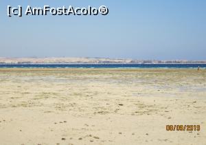 [P22] Marea Roșie și coralii la reflux » foto by marsus
 - 
<span class="allrVoted glyphicon glyphicon-heart hidden" id="av1108448"></span>
<a class="m-l-10 hidden" id="sv1108448" onclick="voting_Foto_DelVot(,1108448,22687)" role="button">șterge vot <span class="glyphicon glyphicon-remove"></span></a>
<a id="v91108448" class=" c-red"  onclick="voting_Foto_SetVot(1108448)" role="button"><span class="glyphicon glyphicon-heart-empty"></span> <b>LIKE</b> = Votează poza</a> <img class="hidden"  id="f1108448W9" src="/imagini/loader.gif" border="0" /><span class="AjErrMes hidden" id="e1108448ErM"></span>