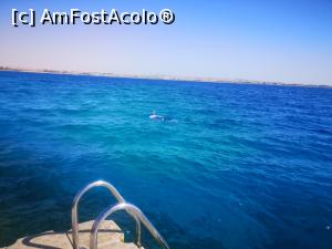 [P10]  -- <small>// FĂRĂ DESCRIERE</small> » foto by bubi
 - 
<span class="allrVoted glyphicon glyphicon-heart hidden" id="av1096961"></span>
<a class="m-l-10 hidden" id="sv1096961" onclick="voting_Foto_DelVot(,1096961,22687)" role="button">șterge vot <span class="glyphicon glyphicon-remove"></span></a>
<a id="v91096961" class=" c-red"  onclick="voting_Foto_SetVot(1096961)" role="button"><span class="glyphicon glyphicon-heart-empty"></span> <b>LIKE</b> = Votează poza</a> <img class="hidden"  id="f1096961W9" src="/imagini/loader.gif" border="0" /><span class="AjErrMes hidden" id="e1096961ErM"></span>