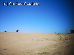 [P13]  -- <small>// FĂRĂ DESCRIERE</small> » foto by bubi
 - 
<span class="allrVoted glyphicon glyphicon-heart hidden" id="av1096964"></span>
<a class="m-l-10 hidden" id="sv1096964" onclick="voting_Foto_DelVot(,1096964,22687)" role="button">șterge vot <span class="glyphicon glyphicon-remove"></span></a>
<a id="v91096964" class=" c-red"  onclick="voting_Foto_SetVot(1096964)" role="button"><span class="glyphicon glyphicon-heart-empty"></span> <b>LIKE</b> = Votează poza</a> <img class="hidden"  id="f1096964W9" src="/imagini/loader.gif" border="0" /><span class="AjErrMes hidden" id="e1096964ErM"></span>