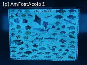 [P06]  -- <small>// FĂRĂ DESCRIERE</small> » foto by bubi
 - 
<span class="allrVoted glyphicon glyphicon-heart hidden" id="av1096957"></span>
<a class="m-l-10 hidden" id="sv1096957" onclick="voting_Foto_DelVot(,1096957,22687)" role="button">șterge vot <span class="glyphicon glyphicon-remove"></span></a>
<a id="v91096957" class=" c-red"  onclick="voting_Foto_SetVot(1096957)" role="button"><span class="glyphicon glyphicon-heart-empty"></span> <b>LIKE</b> = Votează poza</a> <img class="hidden"  id="f1096957W9" src="/imagini/loader.gif" border="0" /><span class="AjErrMes hidden" id="e1096957ErM"></span>