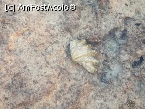 [P07]  -- <small>// FĂRĂ DESCRIERE</small> » foto by bubi
 - 
<span class="allrVoted glyphicon glyphicon-heart hidden" id="av1096958"></span>
<a class="m-l-10 hidden" id="sv1096958" onclick="voting_Foto_DelVot(,1096958,22687)" role="button">șterge vot <span class="glyphicon glyphicon-remove"></span></a>
<a id="v91096958" class=" c-red"  onclick="voting_Foto_SetVot(1096958)" role="button"><span class="glyphicon glyphicon-heart-empty"></span> <b>LIKE</b> = Votează poza</a> <img class="hidden"  id="f1096958W9" src="/imagini/loader.gif" border="0" /><span class="AjErrMes hidden" id="e1096958ErM"></span>