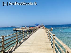 [P22] Ponton Tropitel! » foto by ARA
 - 
<span class="allrVoted glyphicon glyphicon-heart hidden" id="av1393547"></span>
<a class="m-l-10 hidden" id="sv1393547" onclick="voting_Foto_DelVot(,1393547,22687)" role="button">șterge vot <span class="glyphicon glyphicon-remove"></span></a>
<a id="v91393547" class=" c-red"  onclick="voting_Foto_SetVot(1393547)" role="button"><span class="glyphicon glyphicon-heart-empty"></span> <b>LIKE</b> = Votează poza</a> <img class="hidden"  id="f1393547W9" src="/imagini/loader.gif" border="0" /><span class="AjErrMes hidden" id="e1393547ErM"></span>