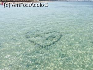 [P25] O inima pentru voi! » foto by ARA
 - 
<span class="allrVoted glyphicon glyphicon-heart hidden" id="av1393550"></span>
<a class="m-l-10 hidden" id="sv1393550" onclick="voting_Foto_DelVot(,1393550,22687)" role="button">șterge vot <span class="glyphicon glyphicon-remove"></span></a>
<a id="v91393550" class=" c-red"  onclick="voting_Foto_SetVot(1393550)" role="button"><span class="glyphicon glyphicon-heart-empty"></span> <b>LIKE</b> = Votează poza</a> <img class="hidden"  id="f1393550W9" src="/imagini/loader.gif" border="0" /><span class="AjErrMes hidden" id="e1393550ErM"></span>