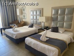 [P27] Aranjamente din prosoape! Hotel Tropitel! » foto by ARA
 - 
<span class="allrVoted glyphicon glyphicon-heart hidden" id="av1393552"></span>
<a class="m-l-10 hidden" id="sv1393552" onclick="voting_Foto_DelVot(,1393552,22687)" role="button">șterge vot <span class="glyphicon glyphicon-remove"></span></a>
<a id="v91393552" class=" c-red"  onclick="voting_Foto_SetVot(1393552)" role="button"><span class="glyphicon glyphicon-heart-empty"></span> <b>LIKE</b> = Votează poza</a> <img class="hidden"  id="f1393552W9" src="/imagini/loader.gif" border="0" /><span class="AjErrMes hidden" id="e1393552ErM"></span>