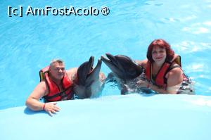 [P32] La delfinariu! » foto by ARA
 - 
<span class="allrVoted glyphicon glyphicon-heart hidden" id="av1393557"></span>
<a class="m-l-10 hidden" id="sv1393557" onclick="voting_Foto_DelVot(,1393557,22687)" role="button">șterge vot <span class="glyphicon glyphicon-remove"></span></a>
<a id="v91393557" class=" c-red"  onclick="voting_Foto_SetVot(1393557)" role="button"><span class="glyphicon glyphicon-heart-empty"></span> <b>LIKE</b> = Votează poza</a> <img class="hidden"  id="f1393557W9" src="/imagini/loader.gif" border="0" /><span class="AjErrMes hidden" id="e1393557ErM"></span>