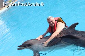 [P34] Din seria ne dam cu delfinul! » foto by ARA
 - 
<span class="allrVoted glyphicon glyphicon-heart hidden" id="av1393559"></span>
<a class="m-l-10 hidden" id="sv1393559" onclick="voting_Foto_DelVot(,1393559,22687)" role="button">șterge vot <span class="glyphicon glyphicon-remove"></span></a>
<a id="v91393559" class=" c-red"  onclick="voting_Foto_SetVot(1393559)" role="button"><span class="glyphicon glyphicon-heart-empty"></span> <b>LIKE</b> = Votează poza</a> <img class="hidden"  id="f1393559W9" src="/imagini/loader.gif" border="0" /><span class="AjErrMes hidden" id="e1393559ErM"></span>