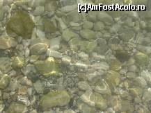 [P04] apa limpede si curata de pe plaja Agigea » foto by sandu.53
 - 
<span class="allrVoted glyphicon glyphicon-heart hidden" id="av115349"></span>
<a class="m-l-10 hidden" id="sv115349" onclick="voting_Foto_DelVot(,115349,22689)" role="button">șterge vot <span class="glyphicon glyphicon-remove"></span></a>
<a id="v9115349" class=" c-red"  onclick="voting_Foto_SetVot(115349)" role="button"><span class="glyphicon glyphicon-heart-empty"></span> <b>LIKE</b> = Votează poza</a> <img class="hidden"  id="f115349W9" src="/imagini/loader.gif" border="0" /><span class="AjErrMes hidden" id="e115349ErM"></span>