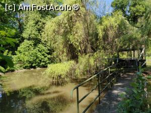 [P13] Parcul Dendrologic Gurhgiupodul peste lacul cu multe lebede albe, frumoase » foto by Dana2008
 - 
<span class="allrVoted glyphicon glyphicon-heart hidden" id="av1071997"></span>
<a class="m-l-10 hidden" id="sv1071997" onclick="voting_Foto_DelVot(,1071997,22705)" role="button">șterge vot <span class="glyphicon glyphicon-remove"></span></a>
<a id="v91071997" class=" c-red"  onclick="voting_Foto_SetVot(1071997)" role="button"><span class="glyphicon glyphicon-heart-empty"></span> <b>LIKE</b> = Votează poza</a> <img class="hidden"  id="f1071997W9" src="/imagini/loader.gif" border="0" /><span class="AjErrMes hidden" id="e1071997ErM"></span>