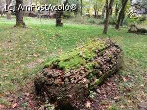 [P16] Natura moarta » foto by dorgo
 - 
<span class="allrVoted glyphicon glyphicon-heart hidden" id="av1250783"></span>
<a class="m-l-10 hidden" id="sv1250783" onclick="voting_Foto_DelVot(,1250783,22705)" role="button">șterge vot <span class="glyphicon glyphicon-remove"></span></a>
<a id="v91250783" class=" c-red"  onclick="voting_Foto_SetVot(1250783)" role="button"><span class="glyphicon glyphicon-heart-empty"></span> <b>LIKE</b> = Votează poza</a> <img class="hidden"  id="f1250783W9" src="/imagini/loader.gif" border="0" /><span class="AjErrMes hidden" id="e1250783ErM"></span>