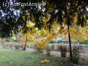 [P06] Culorile toamnei » foto by dorgo
 - 
<span class="allrVoted glyphicon glyphicon-heart hidden" id="av1250773"></span>
<a class="m-l-10 hidden" id="sv1250773" onclick="voting_Foto_DelVot(,1250773,22705)" role="button">șterge vot <span class="glyphicon glyphicon-remove"></span></a>
<a id="v91250773" class=" c-red"  onclick="voting_Foto_SetVot(1250773)" role="button"><span class="glyphicon glyphicon-heart-empty"></span> <b>LIKE</b> = Votează poza</a> <img class="hidden"  id="f1250773W9" src="/imagini/loader.gif" border="0" /><span class="AjErrMes hidden" id="e1250773ErM"></span>