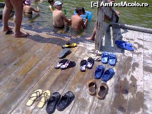 [P13] Apa e cam calda, musai sa ne racorim cu cate-o bere!  » foto by dorgo
 - 
<span class="allrVoted glyphicon glyphicon-heart hidden" id="av534802"></span>
<a class="m-l-10 hidden" id="sv534802" onclick="voting_Foto_DelVot(,534802,22715)" role="button">șterge vot <span class="glyphicon glyphicon-remove"></span></a>
<a id="v9534802" class=" c-red"  onclick="voting_Foto_SetVot(534802)" role="button"><span class="glyphicon glyphicon-heart-empty"></span> <b>LIKE</b> = Votează poza</a> <img class="hidden"  id="f534802W9" src="/imagini/loader.gif" border="0" /><span class="AjErrMes hidden" id="e534802ErM"></span>