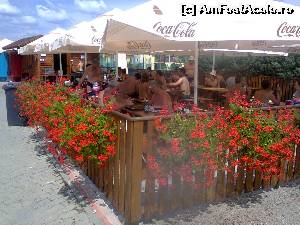 [P15] Una dintre terasele inflorate ale bailor » foto by dorgo
 - 
<span class="allrVoted glyphicon glyphicon-heart hidden" id="av534804"></span>
<a class="m-l-10 hidden" id="sv534804" onclick="voting_Foto_DelVot(,534804,22715)" role="button">șterge vot <span class="glyphicon glyphicon-remove"></span></a>
<a id="v9534804" class=" c-red"  onclick="voting_Foto_SetVot(534804)" role="button"><span class="glyphicon glyphicon-heart-empty"></span> <b>LIKE</b> = Votează poza</a> <img class="hidden"  id="f534804W9" src="/imagini/loader.gif" border="0" /><span class="AjErrMes hidden" id="e534804ErM"></span>