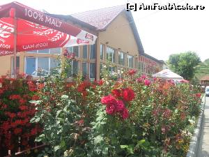 [P05] Restaurantul bailor Cojocna » foto by dorgo
 - 
<span class="allrVoted glyphicon glyphicon-heart hidden" id="av534794"></span>
<a class="m-l-10 hidden" id="sv534794" onclick="voting_Foto_DelVot(,534794,22715)" role="button">șterge vot <span class="glyphicon glyphicon-remove"></span></a>
<a id="v9534794" class=" c-red"  onclick="voting_Foto_SetVot(534794)" role="button"><span class="glyphicon glyphicon-heart-empty"></span> <b>LIKE</b> = Votează poza</a> <img class="hidden"  id="f534794W9" src="/imagini/loader.gif" border="0" /><span class="AjErrMes hidden" id="e534794ErM"></span>