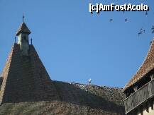 [P22] Clopotnita cetatii a devenit un excelent adapost pentru pasari » foto by dorgo
 - 
<span class="allrVoted glyphicon glyphicon-heart hidden" id="av258904"></span>
<a class="m-l-10 hidden" id="sv258904" onclick="voting_Foto_DelVot(,258904,22724)" role="button">șterge vot <span class="glyphicon glyphicon-remove"></span></a>
<a id="v9258904" class=" c-red"  onclick="voting_Foto_SetVot(258904)" role="button"><span class="glyphicon glyphicon-heart-empty"></span> <b>LIKE</b> = Votează poza</a> <img class="hidden"  id="f258904W9" src="/imagini/loader.gif" border="0" /><span class="AjErrMes hidden" id="e258904ErM"></span>