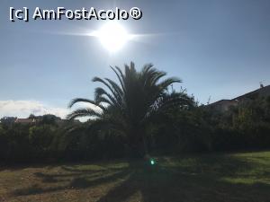[P12]  -- <small>// FĂRĂ DESCRIERE</small> » foto by gotty
 - 
<span class="allrVoted glyphicon glyphicon-heart hidden" id="av900705"></span>
<a class="m-l-10 hidden" id="sv900705" onclick="voting_Foto_DelVot(,900705,22731)" role="button">șterge vot <span class="glyphicon glyphicon-remove"></span></a>
<a id="v9900705" class=" c-red"  onclick="voting_Foto_SetVot(900705)" role="button"><span class="glyphicon glyphicon-heart-empty"></span> <b>LIKE</b> = Votează poza</a> <img class="hidden"  id="f900705W9" src="/imagini/loader.gif" border="0" /><span class="AjErrMes hidden" id="e900705ErM"></span>