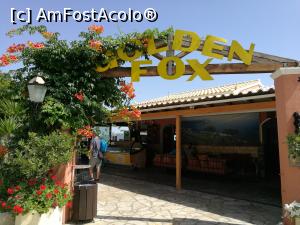 [P02] Intrarea la Goden Fox » foto by crismis
 - 
<span class="allrVoted glyphicon glyphicon-heart hidden" id="av909304"></span>
<a class="m-l-10 hidden" id="sv909304" onclick="voting_Foto_DelVot(,909304,22830)" role="button">șterge vot <span class="glyphicon glyphicon-remove"></span></a>
<a id="v9909304" class=" c-red"  onclick="voting_Foto_SetVot(909304)" role="button"><span class="glyphicon glyphicon-heart-empty"></span> <b>LIKE</b> = Votează poza</a> <img class="hidden"  id="f909304W9" src="/imagini/loader.gif" border="0" /><span class="AjErrMes hidden" id="e909304ErM"></span>