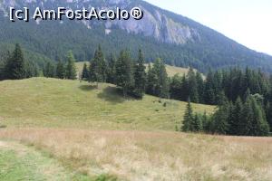 [P40] Parcul Național Piatra Craiului, Fânețuri în Golul Alpin și falnicii munți... » foto by mprofeanu
 - 
<span class="allrVoted glyphicon glyphicon-heart hidden" id="av1381882"></span>
<a class="m-l-10 hidden" id="sv1381882" onclick="voting_Foto_DelVot(,1381882,22842)" role="button">șterge vot <span class="glyphicon glyphicon-remove"></span></a>
<a id="v91381882" class=" c-red"  onclick="voting_Foto_SetVot(1381882)" role="button"><span class="glyphicon glyphicon-heart-empty"></span> <b>LIKE</b> = Votează poza</a> <img class="hidden"  id="f1381882W9" src="/imagini/loader.gif" border="0" /><span class="AjErrMes hidden" id="e1381882ErM"></span>