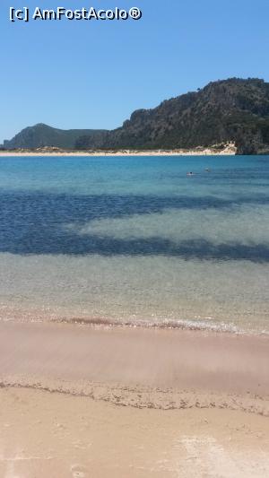 [P12]  -- <small>// FĂRĂ DESCRIERE</small> » foto by xpac
 - 
<span class="allrVoted glyphicon glyphicon-heart hidden" id="av911461"></span>
<a class="m-l-10 hidden" id="sv911461" onclick="voting_Foto_DelVot(,911461,22857)" role="button">șterge vot <span class="glyphicon glyphicon-remove"></span></a>
<a id="v9911461" class=" c-red"  onclick="voting_Foto_SetVot(911461)" role="button"><span class="glyphicon glyphicon-heart-empty"></span> <b>LIKE</b> = Votează poza</a> <img class="hidden"  id="f911461W9" src="/imagini/loader.gif" border="0" /><span class="AjErrMes hidden" id="e911461ErM"></span>