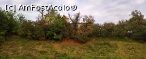 [P03] Castelul Bolyai sau ce a mai rămas din el » foto by AZE
 - 
<span class="allrVoted glyphicon glyphicon-heart hidden" id="av1013381"></span>
<a class="m-l-10 hidden" id="sv1013381" onclick="voting_Foto_DelVot(,1013381,22908)" role="button">șterge vot <span class="glyphicon glyphicon-remove"></span></a>
<a id="v91013381" class=" c-red"  onclick="voting_Foto_SetVot(1013381)" role="button"><span class="glyphicon glyphicon-heart-empty"></span> <b>LIKE</b> = Votează poza</a> <img class="hidden"  id="f1013381W9" src="/imagini/loader.gif" border="0" /><span class="AjErrMes hidden" id="e1013381ErM"></span>