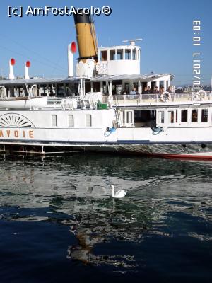 [P46] Geneva - Lacul Leman » foto by Alina53
 - 
<span class="allrVoted glyphicon glyphicon-heart hidden" id="av914347"></span>
<a class="m-l-10 hidden" id="sv914347" onclick="voting_Foto_DelVot(,914347,22914)" role="button">șterge vot <span class="glyphicon glyphicon-remove"></span></a>
<a id="v9914347" class=" c-red"  onclick="voting_Foto_SetVot(914347)" role="button"><span class="glyphicon glyphicon-heart-empty"></span> <b>LIKE</b> = Votează poza</a> <img class="hidden"  id="f914347W9" src="/imagini/loader.gif" border="0" /><span class="AjErrMes hidden" id="e914347ErM"></span>