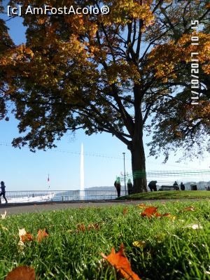 [P47] Lacul Leman - Jet d*Eau » foto by Alina53
 - 
<span class="allrVoted glyphicon glyphicon-heart hidden" id="av914348"></span>
<a class="m-l-10 hidden" id="sv914348" onclick="voting_Foto_DelVot(,914348,22914)" role="button">șterge vot <span class="glyphicon glyphicon-remove"></span></a>
<a id="v9914348" class=" c-red"  onclick="voting_Foto_SetVot(914348)" role="button"><span class="glyphicon glyphicon-heart-empty"></span> <b>LIKE</b> = Votează poza</a> <img class="hidden"  id="f914348W9" src="/imagini/loader.gif" border="0" /><span class="AjErrMes hidden" id="e914348ErM"></span>