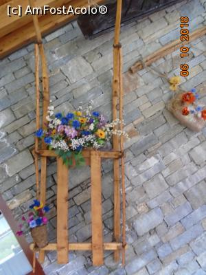 [P06] Decor cu sanie » foto by Mitica49
 - 
<span class="allrVoted glyphicon glyphicon-heart hidden" id="av1022776"></span>
<a class="m-l-10 hidden" id="sv1022776" onclick="voting_Foto_DelVot(,1022776,22914)" role="button">șterge vot <span class="glyphicon glyphicon-remove"></span></a>
<a id="v91022776" class=" c-red"  onclick="voting_Foto_SetVot(1022776)" role="button"><span class="glyphicon glyphicon-heart-empty"></span> <b>LIKE</b> = Votează poza</a> <img class="hidden"  id="f1022776W9" src="/imagini/loader.gif" border="0" /><span class="AjErrMes hidden" id="e1022776ErM"></span>