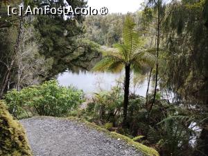 [P25] Lake Matheson » foto by Marius 72
 - 
<span class="allrVoted glyphicon glyphicon-heart hidden" id="av1475456"></span>
<a class="m-l-10 hidden" id="sv1475456" onclick="voting_Foto_DelVot(,1475456,22922)" role="button">șterge vot <span class="glyphicon glyphicon-remove"></span></a>
<a id="v91475456" class=" c-red"  onclick="voting_Foto_SetVot(1475456)" role="button"><span class="glyphicon glyphicon-heart-empty"></span> <b>LIKE</b> = Votează poza</a> <img class="hidden"  id="f1475456W9" src="/imagini/loader.gif" border="0" /><span class="AjErrMes hidden" id="e1475456ErM"></span>