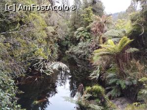 [P28] Ecosistemul Lake Matheson » foto by Marius 72
 - 
<span class="allrVoted glyphicon glyphicon-heart hidden" id="av1475459"></span>
<a class="m-l-10 hidden" id="sv1475459" onclick="voting_Foto_DelVot(,1475459,22922)" role="button">șterge vot <span class="glyphicon glyphicon-remove"></span></a>
<a id="v91475459" class=" c-red"  onclick="voting_Foto_SetVot(1475459)" role="button"><span class="glyphicon glyphicon-heart-empty"></span> <b>LIKE</b> = Votează poza</a> <img class="hidden"  id="f1475459W9" src="/imagini/loader.gif" border="0" /><span class="AjErrMes hidden" id="e1475459ErM"></span>