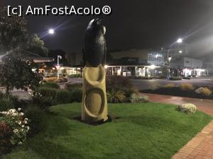 [P12] Rotorua in centru » foto by Lila Mo
 - 
<span class="allrVoted glyphicon glyphicon-heart hidden" id="av987915"></span>
<a class="m-l-10 hidden" id="sv987915" onclick="voting_Foto_DelVot(,987915,22922)" role="button">șterge vot <span class="glyphicon glyphicon-remove"></span></a>
<a id="v9987915" class=" c-red"  onclick="voting_Foto_SetVot(987915)" role="button"><span class="glyphicon glyphicon-heart-empty"></span> <b>LIKE</b> = Votează poza</a> <img class="hidden"  id="f987915W9" src="/imagini/loader.gif" border="0" /><span class="AjErrMes hidden" id="e987915ErM"></span>