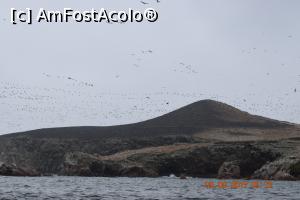 [P18] Aviatie inamica la joasa inaltime - mii de pasari care fac naveta - insula/ocean pentru a-si hrani puii » foto by Pușcașu Marin
 - 
<span class="allrVoted glyphicon glyphicon-heart hidden" id="av916113"></span>
<a class="m-l-10 hidden" id="sv916113" onclick="voting_Foto_DelVot(,916113,22927)" role="button">șterge vot <span class="glyphicon glyphicon-remove"></span></a>
<a id="v9916113" class=" c-red"  onclick="voting_Foto_SetVot(916113)" role="button"><span class="glyphicon glyphicon-heart-empty"></span> <b>LIKE</b> = Votează poza</a> <img class="hidden"  id="f916113W9" src="/imagini/loader.gif" border="0" /><span class="AjErrMes hidden" id="e916113ErM"></span>