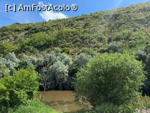 [P05] Răutul la Trebujeni » foto by adso
 - 
<span class="allrVoted glyphicon glyphicon-heart hidden" id="av1533440"></span>
<a class="m-l-10 hidden" id="sv1533440" onclick="voting_Foto_DelVot(,1533440,22969)" role="button">șterge vot <span class="glyphicon glyphicon-remove"></span></a>
<a id="v91533440" class=" c-red"  onclick="voting_Foto_SetVot(1533440)" role="button"><span class="glyphicon glyphicon-heart-empty"></span> <b>LIKE</b> = Votează poza</a> <img class="hidden"  id="f1533440W9" src="/imagini/loader.gif" border="0" /><span class="AjErrMes hidden" id="e1533440ErM"></span>