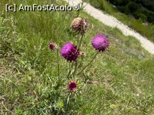 [P08] Răutul la Trebujeni » foto by adso
 - 
<span class="allrVoted glyphicon glyphicon-heart hidden" id="av1533443"></span>
<a class="m-l-10 hidden" id="sv1533443" onclick="voting_Foto_DelVot(,1533443,22969)" role="button">șterge vot <span class="glyphicon glyphicon-remove"></span></a>
<a id="v91533443" class=" c-red"  onclick="voting_Foto_SetVot(1533443)" role="button"><span class="glyphicon glyphicon-heart-empty"></span> <b>LIKE</b> = Votează poza</a> <img class="hidden"  id="f1533443W9" src="/imagini/loader.gif" border="0" /><span class="AjErrMes hidden" id="e1533443ErM"></span>
