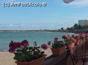 [P10] Plaja Diana, Mangalia » foto by Mioritik
 - 
<span class="allrVoted glyphicon glyphicon-heart hidden" id="av1300255"></span>
<a class="m-l-10 hidden" id="sv1300255" onclick="voting_Foto_DelVot(,1300255,23017)" role="button">șterge vot <span class="glyphicon glyphicon-remove"></span></a>
<a id="v91300255" class=" c-red"  onclick="voting_Foto_SetVot(1300255)" role="button"><span class="glyphicon glyphicon-heart-empty"></span> <b>LIKE</b> = Votează poza</a> <img class="hidden"  id="f1300255W9" src="/imagini/loader.gif" border="0" /><span class="AjErrMes hidden" id="e1300255ErM"></span>