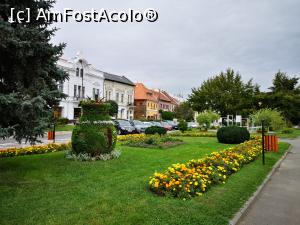[P03] Spații verzi și flori în piața centrală » foto by crismis
 - 
<span class="allrVoted glyphicon glyphicon-heart hidden" id="av1207730"></span>
<a class="m-l-10 hidden" id="sv1207730" onclick="voting_Foto_DelVot(,1207730,23063)" role="button">șterge vot <span class="glyphicon glyphicon-remove"></span></a>
<a id="v91207730" class=" c-red"  onclick="voting_Foto_SetVot(1207730)" role="button"><span class="glyphicon glyphicon-heart-empty"></span> <b>LIKE</b> = Votează poza</a> <img class="hidden"  id="f1207730W9" src="/imagini/loader.gif" border="0" /><span class="AjErrMes hidden" id="e1207730ErM"></span>