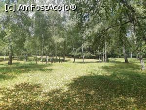 [P04] Lumină și iar lumină amestecată cu umbre blânde. » foto by Qvadratvus
 - 
<span class="allrVoted glyphicon glyphicon-heart hidden" id="av1187743"></span>
<a class="m-l-10 hidden" id="sv1187743" onclick="voting_Foto_DelVot(,1187743,23063)" role="button">șterge vot <span class="glyphicon glyphicon-remove"></span></a>
<a id="v91187743" class=" c-red"  onclick="voting_Foto_SetVot(1187743)" role="button"><span class="glyphicon glyphicon-heart-empty"></span> <b>LIKE</b> = Votează poza</a> <img class="hidden"  id="f1187743W9" src="/imagini/loader.gif" border="0" /><span class="AjErrMes hidden" id="e1187743ErM"></span>