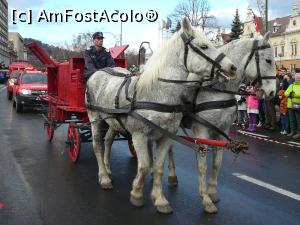 [P30] Atracţia zilei - doi cai putere » foto by Claudiu U.
 - 
<span class="allrVoted glyphicon glyphicon-heart hidden" id="av815524"></span>
<a class="m-l-10 hidden" id="sv815524" onclick="voting_Foto_DelVot(,815524,23162)" role="button">șterge vot <span class="glyphicon glyphicon-remove"></span></a>
<a id="v9815524" class=" c-red"  onclick="voting_Foto_SetVot(815524)" role="button"><span class="glyphicon glyphicon-heart-empty"></span> <b>LIKE</b> = Votează poza</a> <img class="hidden"  id="f815524W9" src="/imagini/loader.gif" border="0" /><span class="AjErrMes hidden" id="e815524ErM"></span>