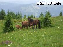 [P07] Romania - in statiunea Vatra Dornei » foto by Lumis66
 - 
<span class="allrVoted glyphicon glyphicon-heart hidden" id="av275089"></span>
<a class="m-l-10 hidden" id="sv275089" onclick="voting_Foto_DelVot(,275089,23162)" role="button">șterge vot <span class="glyphicon glyphicon-remove"></span></a>
<a id="v9275089" class=" c-red"  onclick="voting_Foto_SetVot(275089)" role="button"><span class="glyphicon glyphicon-heart-empty"></span> <b>LIKE</b> = Votează poza</a> <img class="hidden"  id="f275089W9" src="/imagini/loader.gif" border="0" /><span class="AjErrMes hidden" id="e275089ErM"></span>