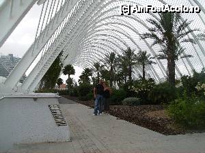 [P10] Orasul Artelor - Valencia » foto by yuly68*
 - 
<span class="allrVoted glyphicon glyphicon-heart hidden" id="av388871"></span>
<a class="m-l-10 hidden" id="sv388871" onclick="voting_Foto_DelVot(,388871,23164)" role="button">șterge vot <span class="glyphicon glyphicon-remove"></span></a>
<a id="v9388871" class=" c-red"  onclick="voting_Foto_SetVot(388871)" role="button"><span class="glyphicon glyphicon-heart-empty"></span> <b>LIKE</b> = Votează poza</a> <img class="hidden"  id="f388871W9" src="/imagini/loader.gif" border="0" /><span class="AjErrMes hidden" id="e388871ErM"></span>