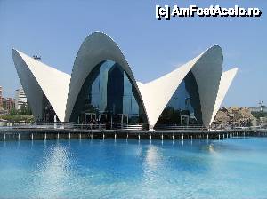 [P13] Oceanograful din Valencia » foto by yuly68*
 - 
<span class="allrVoted glyphicon glyphicon-heart hidden" id="av388874"></span>
<a class="m-l-10 hidden" id="sv388874" onclick="voting_Foto_DelVot(,388874,23164)" role="button">șterge vot <span class="glyphicon glyphicon-remove"></span></a>
<a id="v9388874" class=" c-red"  onclick="voting_Foto_SetVot(388874)" role="button"><span class="glyphicon glyphicon-heart-empty"></span> <b>LIKE</b> = Votează poza</a> <img class="hidden"  id="f388874W9" src="/imagini/loader.gif" border="0" /><span class="AjErrMes hidden" id="e388874ErM"></span>