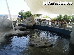 [P14] Oceanograful din Valencia » foto by yuly68*
 - 
<span class="allrVoted glyphicon glyphicon-heart hidden" id="av388875"></span>
<a class="m-l-10 hidden" id="sv388875" onclick="voting_Foto_DelVot(,388875,23164)" role="button">șterge vot <span class="glyphicon glyphicon-remove"></span></a>
<a id="v9388875" class=" c-red"  onclick="voting_Foto_SetVot(388875)" role="button"><span class="glyphicon glyphicon-heart-empty"></span> <b>LIKE</b> = Votează poza</a> <img class="hidden"  id="f388875W9" src="/imagini/loader.gif" border="0" /><span class="AjErrMes hidden" id="e388875ErM"></span>