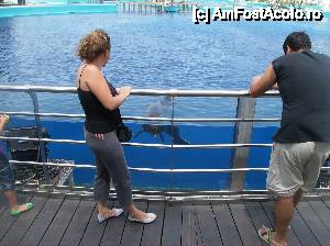 [P16] Oceanograful din Valencia » foto by yuly68*
 - 
<span class="allrVoted glyphicon glyphicon-heart hidden" id="av388877"></span>
<a class="m-l-10 hidden" id="sv388877" onclick="voting_Foto_DelVot(,388877,23164)" role="button">șterge vot <span class="glyphicon glyphicon-remove"></span></a>
<a id="v9388877" class=" c-red"  onclick="voting_Foto_SetVot(388877)" role="button"><span class="glyphicon glyphicon-heart-empty"></span> <b>LIKE</b> = Votează poza</a> <img class="hidden"  id="f388877W9" src="/imagini/loader.gif" border="0" /><span class="AjErrMes hidden" id="e388877ErM"></span>