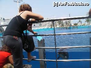 [P18] Oceanograful din Valencia » foto by yuly68*
 - 
<span class="allrVoted glyphicon glyphicon-heart hidden" id="av388879"></span>
<a class="m-l-10 hidden" id="sv388879" onclick="voting_Foto_DelVot(,388879,23164)" role="button">șterge vot <span class="glyphicon glyphicon-remove"></span></a>
<a id="v9388879" class=" c-red"  onclick="voting_Foto_SetVot(388879)" role="button"><span class="glyphicon glyphicon-heart-empty"></span> <b>LIKE</b> = Votează poza</a> <img class="hidden"  id="f388879W9" src="/imagini/loader.gif" border="0" /><span class="AjErrMes hidden" id="e388879ErM"></span>