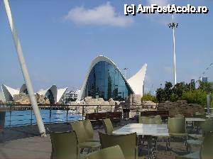 [P23] Oceanograful din Valencia » foto by yuly68*
 - 
<span class="allrVoted glyphicon glyphicon-heart hidden" id="av388884"></span>
<a class="m-l-10 hidden" id="sv388884" onclick="voting_Foto_DelVot(,388884,23164)" role="button">șterge vot <span class="glyphicon glyphicon-remove"></span></a>
<a id="v9388884" class=" c-red"  onclick="voting_Foto_SetVot(388884)" role="button"><span class="glyphicon glyphicon-heart-empty"></span> <b>LIKE</b> = Votează poza</a> <img class="hidden"  id="f388884W9" src="/imagini/loader.gif" border="0" /><span class="AjErrMes hidden" id="e388884ErM"></span>